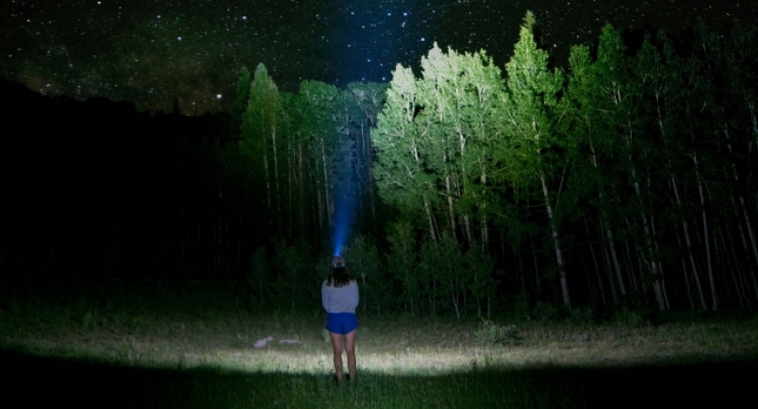 A person stands in a grassy field at night. The headlamp they are wearing illuminates the trees beyond.